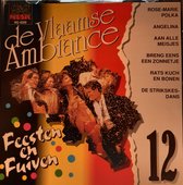 De Vlaamse Ambiance 12- De Mooiste Vlaamse Liedjes - Cd album - Juul Kabas, Henk van Montfoort, Bobby Prins, Eddy Wally, Salim Seghers, Eddy Smets