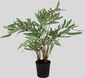 Flora Arte - Zijden plant - Zinkvaren - Phlebodium - Kantoorplant - Topkwaliteit kunstplant - 80cm