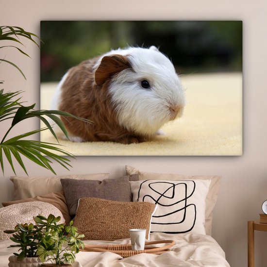 Peinture sur toile Jeune cochon d'Inde - 140x90 cm - Décoration murale