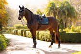 Lemieux Bandages Rohne Middenblauw - paard
