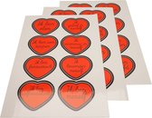 Joy in my Heart - Affirmatiestickers - complimentenstickers - jezelf liefhebben - zelfvertrouwen - Stickerset 24 stuks van 50 mm