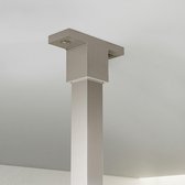 FortiFura Galeria inloopdouche - 90x200cm - mat glas - plafondarm - geborsteld RVS