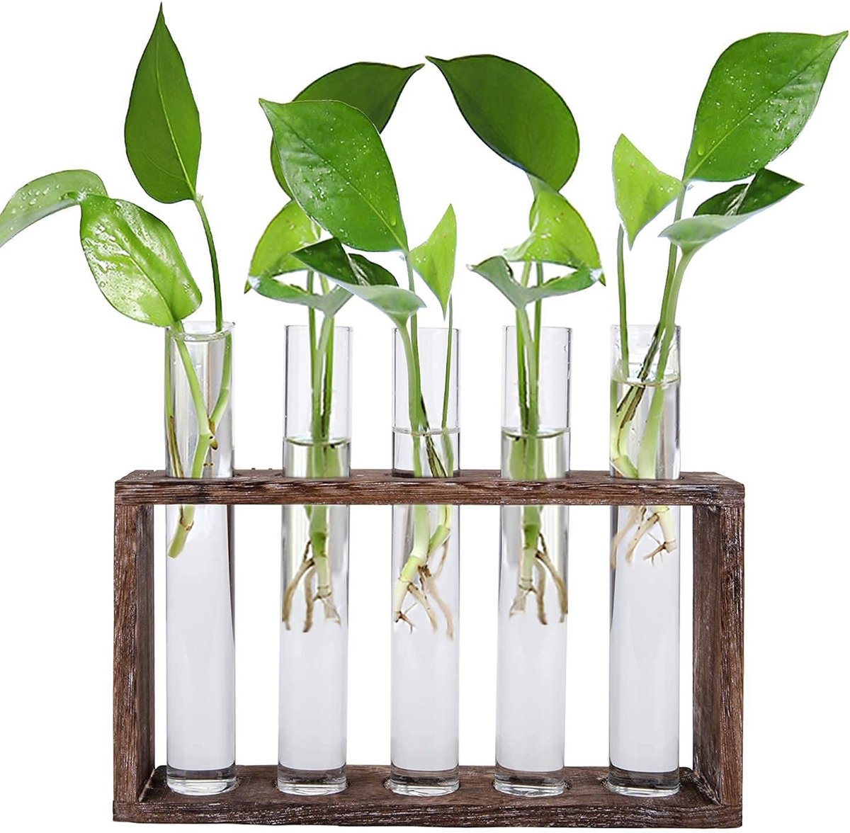 127-delige hydrocultuur-vervangingsset voor hydrocultuurplanten met 50