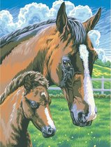Schilderen op nummer – Paard met veulen - Schilderen op nummer volwassenen - schilderen op nummer kinderen - Yuko ®