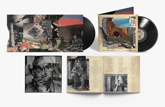 Dave Matthews Band · Walk Around the Moon (LP)
