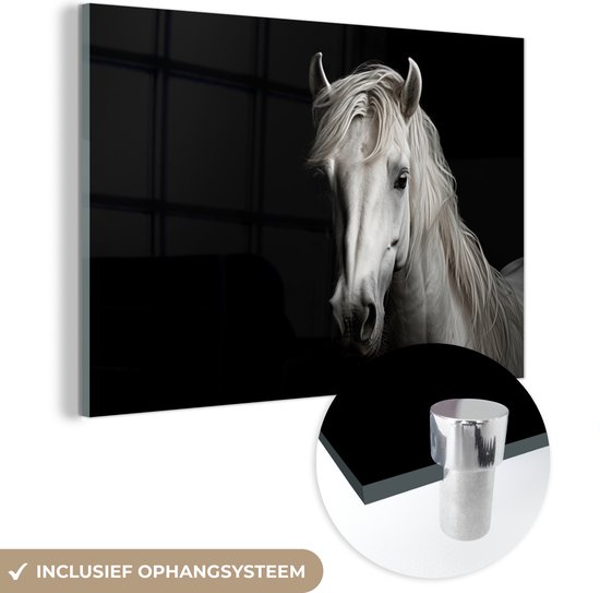 MuchoWow® Peinture sur verre 180x120 cm - Peinture sur verre - Cheval - Portrait - Zwart - Wit - Animal - Photo sur verre acrylique - Peintures