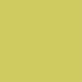 Creotime Textile Dye Solid 50 Ml Kiwi-jaune