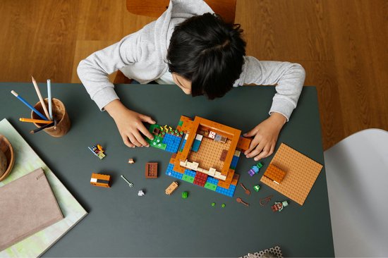 LEGO Minecraft La maison de la grenouille - 21256
