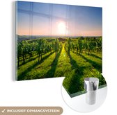 MuchoWow® Glasschilderij 120x80 cm - Schilderij acrylglas - Groene wijngaarden bij een zonsopkomst - Foto op glas - Schilderijen