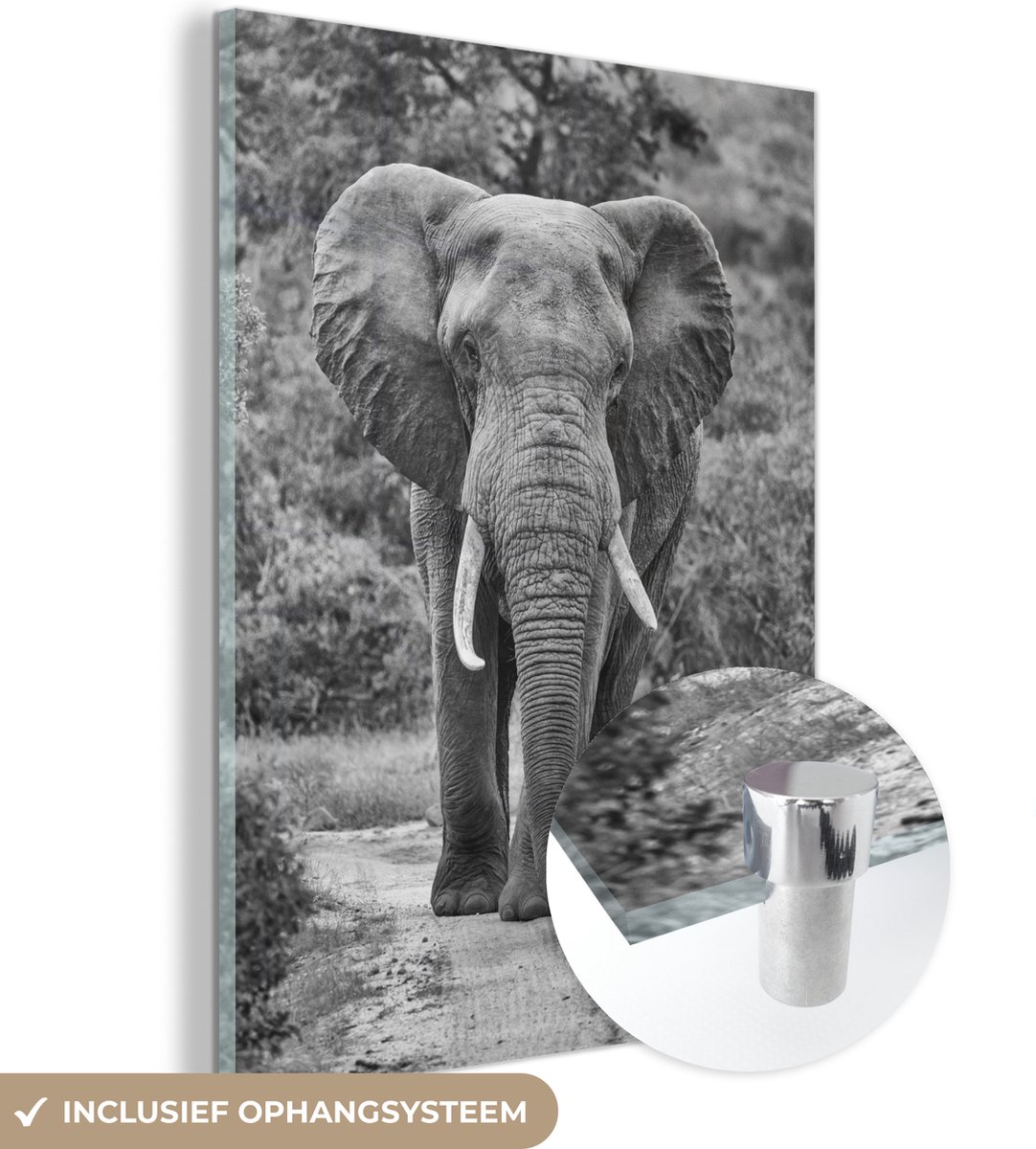 MuchoWow® Glasschilderij 30x40 cm - Schilderij acrylglas - Olifant zwart-wit gecentreerd -