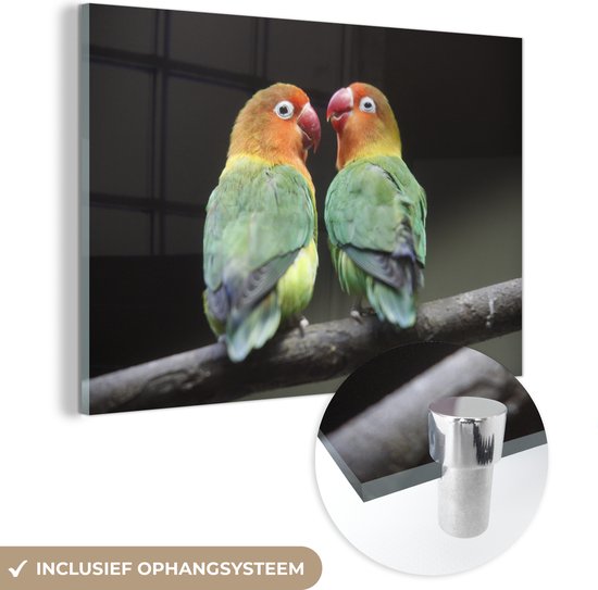 MuchoWow® Glasschilderij 60x40 cm - Schilderij acrylglas - Lovebirds papegaaitjes fotoprint - Foto op glas - Schilderijen