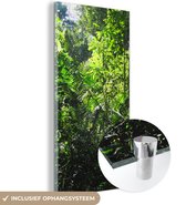 MuchoWow® Glasschilderij 20x40 cm - Schilderij acrylglas - Regenwoud Brazilie fotoprint - Foto op glas - Schilderijen