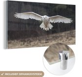 MuchoWow® Glasschilderij 160x80 cm - Schilderij acrylglas - Sneeuwuil vliegt met gestrekte vleugels - Foto op glas - Schilderijen