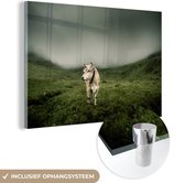Vache en zone de montagne Glas 60x40 cm - Tirage photo sur Glas (décoration murale plexiglas)