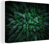 Canvas Schilderij Bovenaanzicht van een bos met sparren - 120x90 cm - Wanddecoratie