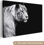 Canvas Schilderij Studio shot witte tijger op zwarte achtergrond in zwart-wit - 60x40 cm - Wanddecoratie