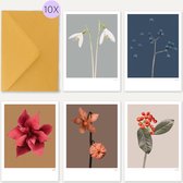 Botanische luxe wenskaarten 10 stuks - met envelop - blanco - zonder tekst - kerst - winter - blauwebes - kerstster - sneeuwklokje - Rijkvol