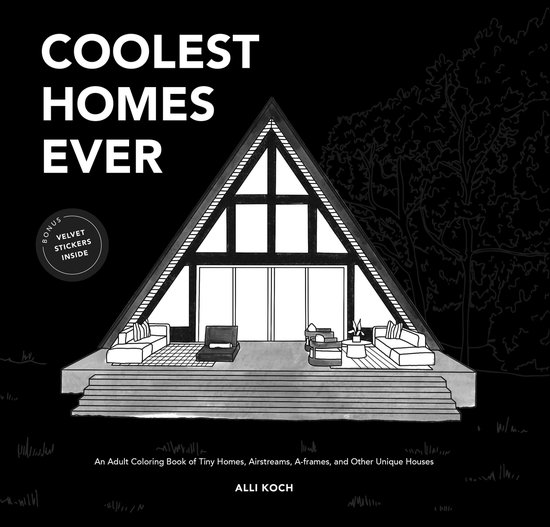 Travel Activities Series- Coolest Homes Ever (Mini) - cover