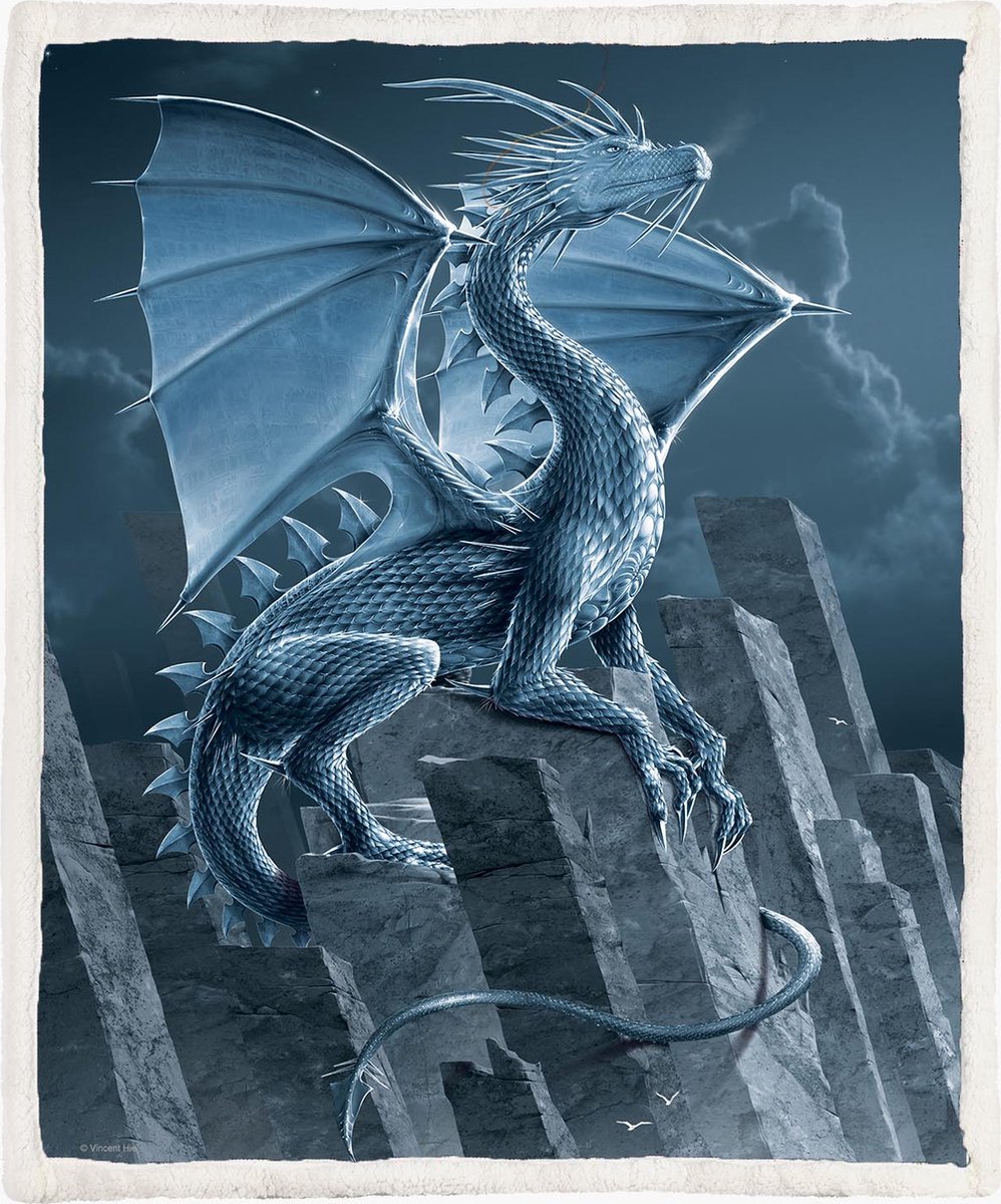 The Coloured House Draak Fleece Deken 130*150cm Silver Dragon Multicolor