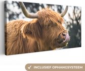 Tableau sur Toile Scottish Highlander - Nez - Arbre - 40x20 cm - Décoration murale