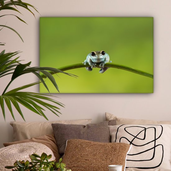Tableau Grenouille - Branche - Vert - 60x40 cm - Décoration murale