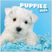 Honden kalender 2024 - puppies - formaat 30 x 30 cm.