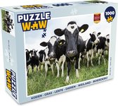 Puzzel Koeien - Gras - Lente - Dieren - Weiland - Boerderij - Legpuzzel - Puzzel 1000 stukjes volwassenen