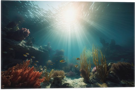 Vlag - Zee - Onderwater - Zon - Vissen - Koraal - 60x40 cm Foto op Polyester Vlag