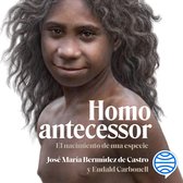 Homo antecessor