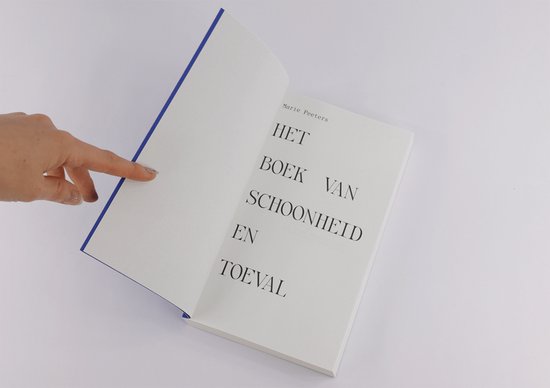 Het Boek Van Schoonheid En Toeval