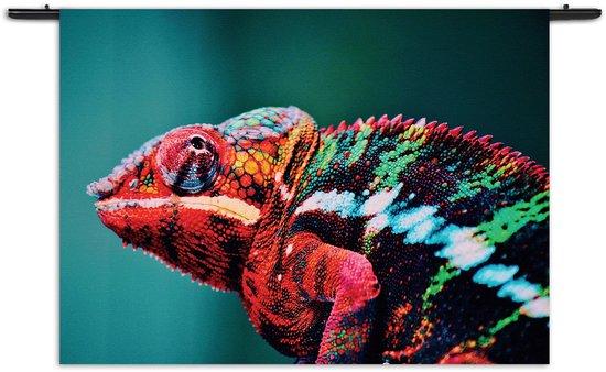 Velours Wandkleed Kameleon Kleurrijk Rechthoek Horizontaal L (85 X 120 CM) - Wandkleden - Met roedes