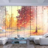 Fotobehangkoning - Behang - Vliesbehang - Fotobehang Herfstzon - Herfstbos op Houten Planken - Autumn Sun - 350 x 245 cm