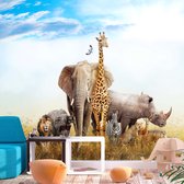 Fotobehangkoning - Behang - Vliesbehang - Fotobehang Dieren van Afrika - Fauna of Africa - 300 x 210 cm