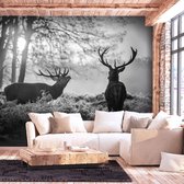 Fotobehangkoning - Behang - Vliesbehang - Fotobehang - Herten in de Natuur - Deers in the Morning - 100 x 70 cm