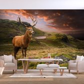 Fotobehangkoning - Behang - Vliesbehang - Fotobehang Hert in de schitterende Natuur - 100 x 70 cm