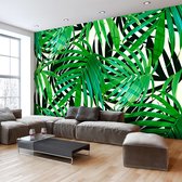 Fotobehangkoning - Behang - Vliesbehang - Fotobehang - Tropical Leaves - Tropische Jungle Bladeren - 350 x 245 cm