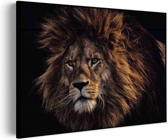 Akoestisch Schilderij The Lion Rechthoek Horizontaal Basic L (100 x 72 CM) - Akoestisch paneel - Akoestische Panelen - Akoestische wanddecoratie - Akoestisch wandpaneel