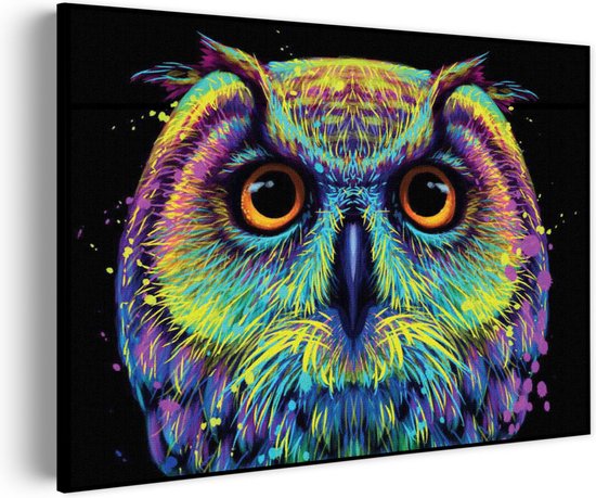 Akoestisch Schilderij Colored Owl 01 Rechthoek Horizontaal Basic M (85 X 60 CM) - Akoestisch paneel - Akoestische Panelen - Akoestische wanddecoratie - Akoestisch wandpaneel