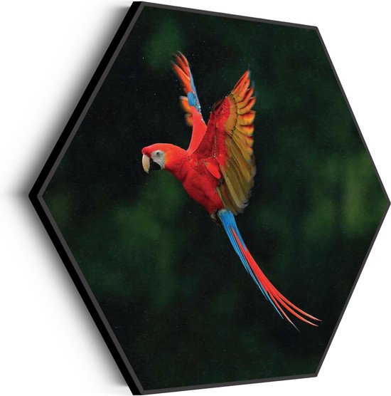 Akoestisch Schilderij Vliegende Ara Vogel Hexagon Basic L (100 X 86 CM) - Akoestisch paneel - Akoestische Panelen - Akoestische wanddecoratie - Akoestisch wandpaneel