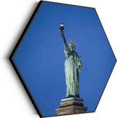Akoestisch Schilderij Vrijheidsbeeld New York Donker 01 Hexagon Basic L (100 X 86 CM) - Akoestisch paneel - Akoestische Panelen - Akoestische wanddecoratie - Akoestisch wandpaneel