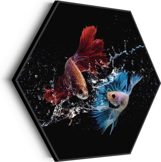 Akoestisch Schilderij Twain Betta Fishes Hexagon Basic XL (140 X 121 CM) - Akoestisch paneel - Akoestische Panelen - Akoestische wanddecoratie - Akoestisch wandpaneel