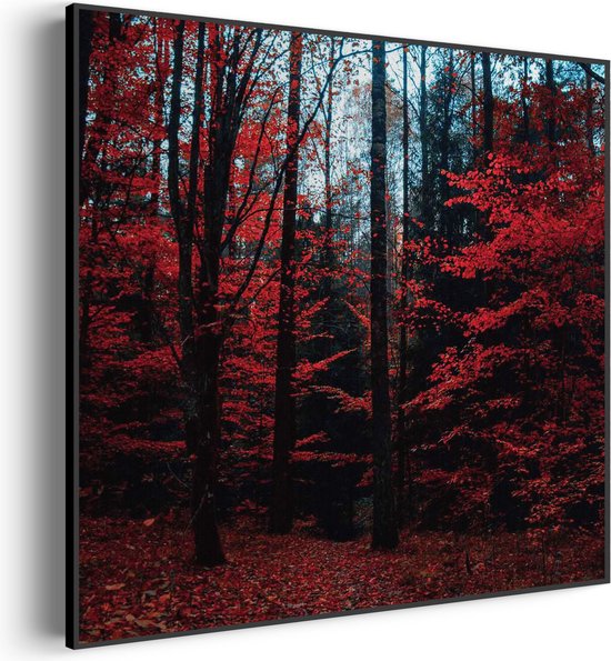 Akoestisch Schilderij Het rode bos Vierkant Pro S (50 X 50 CM) - Akoestisch paneel - Akoestische Panelen - Akoestische wanddecoratie - Akoestisch wandpaneel