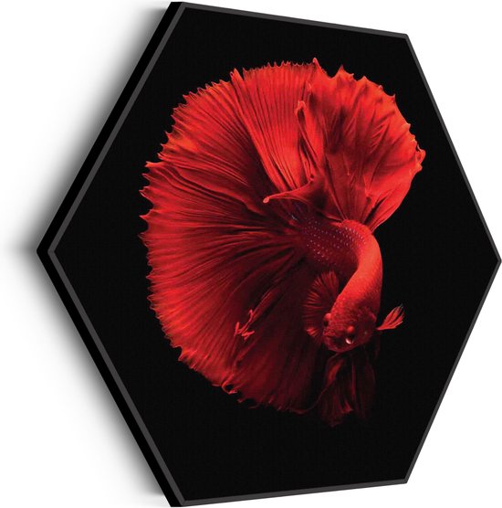 Akoestisch Schilderij Red Dragon Siamese Fighting Fish Hexagon Basic M (60 X 52 CM) - Akoestisch paneel - Akoestische Panelen - Akoestische wanddecoratie - Akoestisch wandpaneel