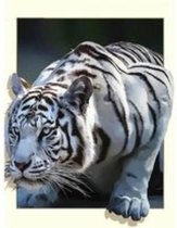 Diamond painting – tijger uit schilderij – 50x40 cm – vierkante stenen