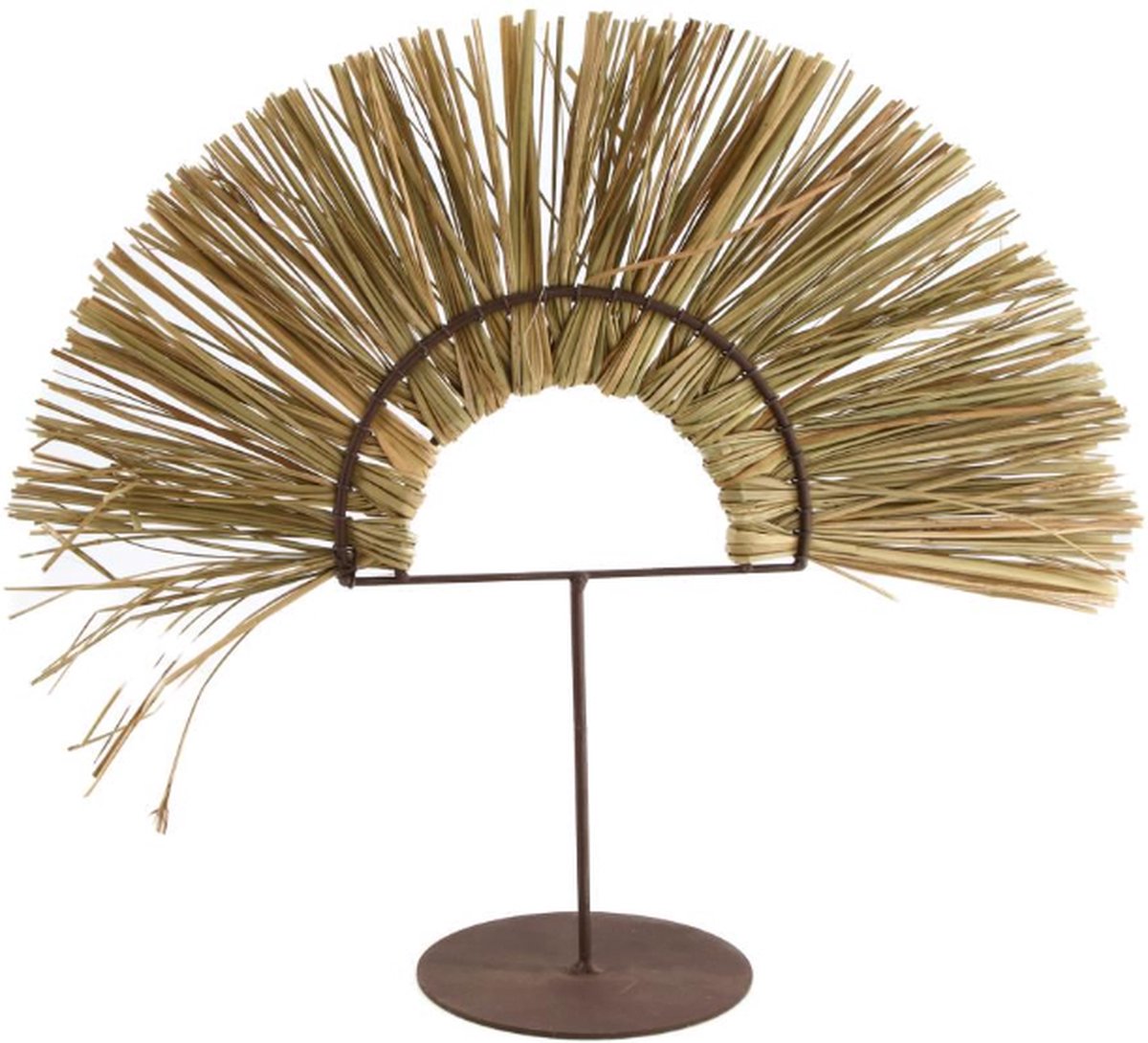 Ornament Gedroogd gras