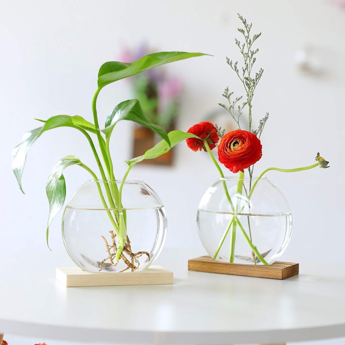 Terrarium de Plantes d'Air, Vase en Verre de Bureau en Verre avec Station  de Propagation de Support en Bois pour Plantes Hydroponiques Décoration de  Jardin de Bureau à Domicile 