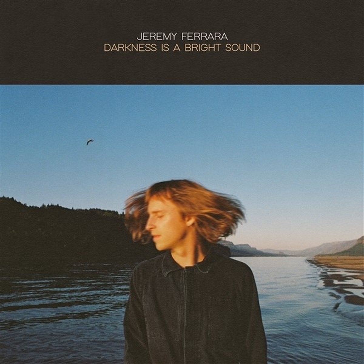 Jeremy Ferrara - Darkness Is A Bright Sound (LP)