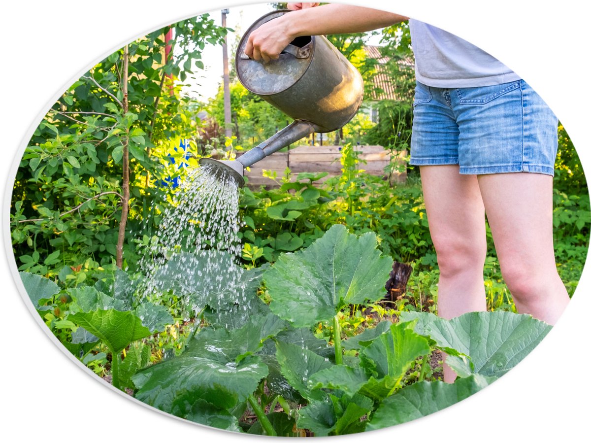 PVC Schuimplaat Ovaal - Tuin - Bloemen - Planten - Gieter - Water - Groen - 28x21 cm Foto 