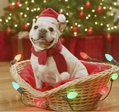 Bonnet de Noël pour Chiens - Bonnet de Noël Animaux en peluche - Bandeau élastique | Accessoire de Noël pour Animaux domestiques - Chapeau de Père Noël pour chien - Chapeau de Père Noël pour chat