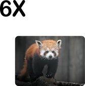 BWK Flexibele Placemat - Rode Panda - Dier - Bos - Boomstam - Set van 6 Placemats - 35x25 cm - PVC Doek - Afneembaar
